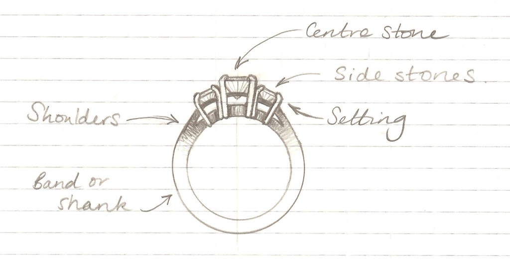 ring anatomy sketch