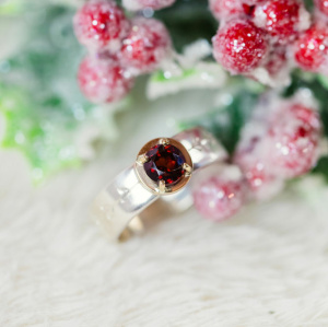 Garnet Mixed Metal Dress Ring